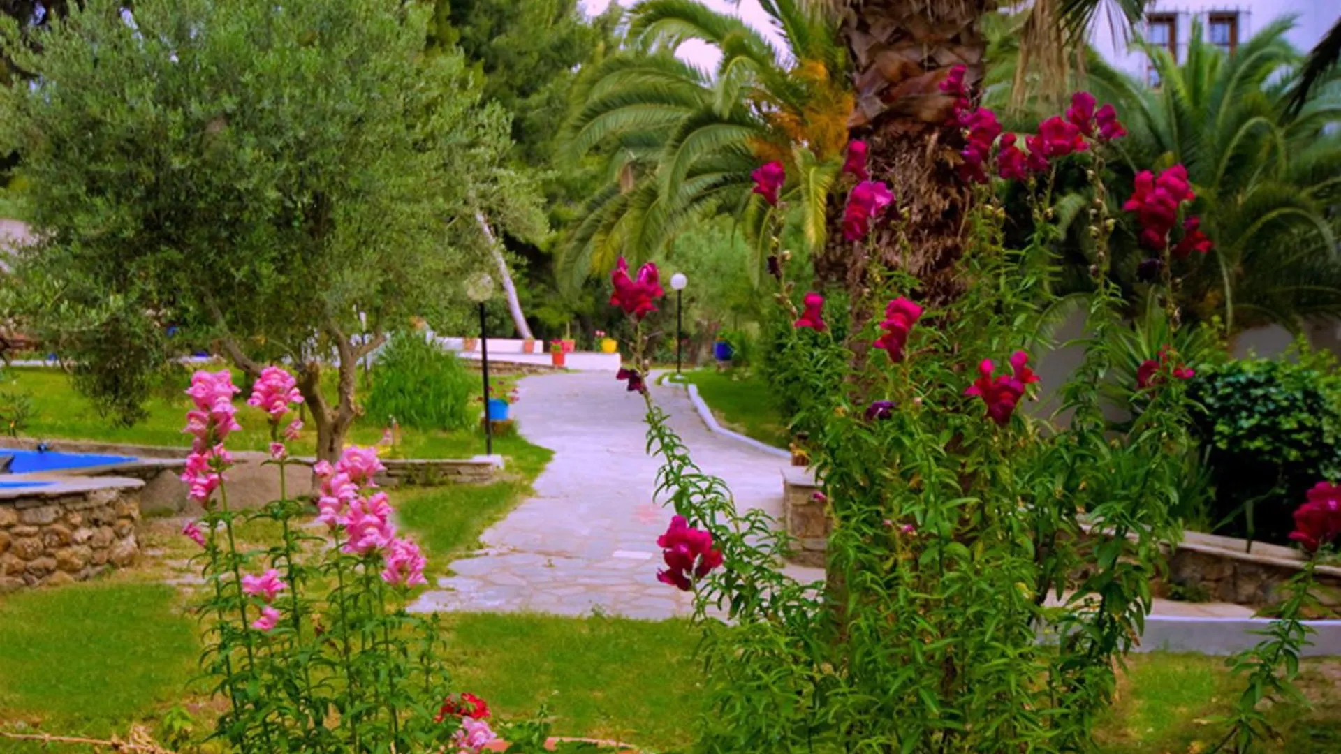Porfi Beach Hotel Nikiti